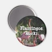 Ronde magneet (Voorkant / Achterkant)