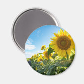 Ronde magneet (Voorkant / Achterkant)