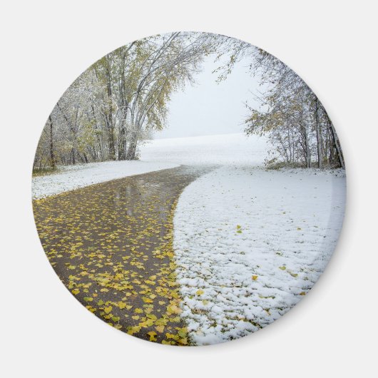 Ronde magneet (Voorkant)