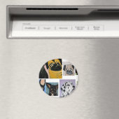 Ronde magneet (Insitu (Vaatwasser))