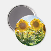 Ronde magneet (Voorkant / Achterkant)