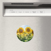 Ronde magneet (Insitu (Vaatwasser))