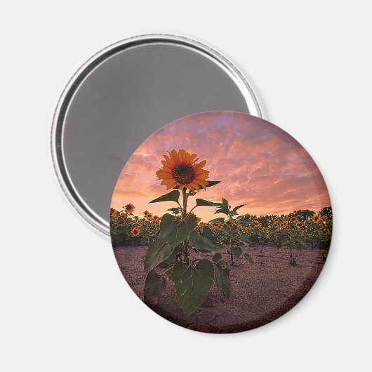 Ronde magneet (Voorkant / Achterkant)