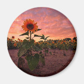 Ronde magneet (Voorkant)