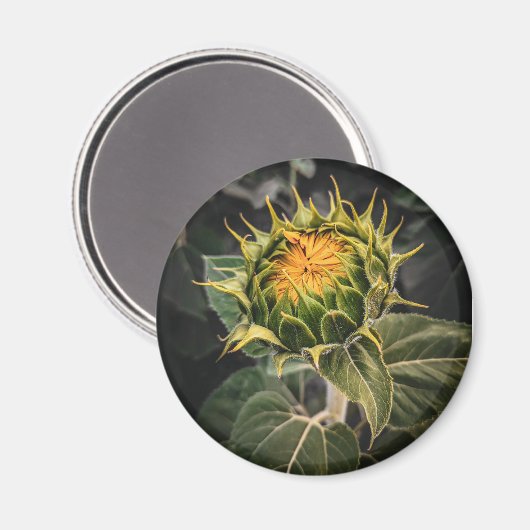 Ronde magneet (Voorkant / Achterkant)