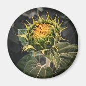 Ronde magneet (Voorkant)