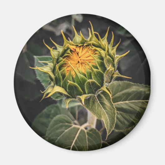 Ronde magneet (Voorkant)