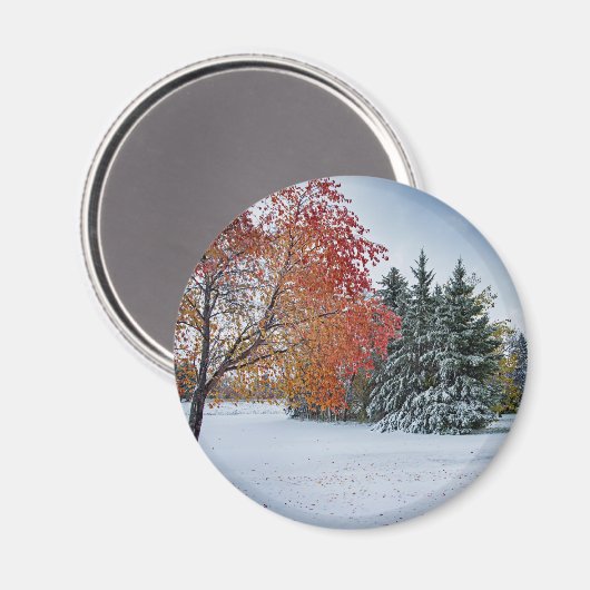 Ronde magneet (Voorkant / Achterkant)