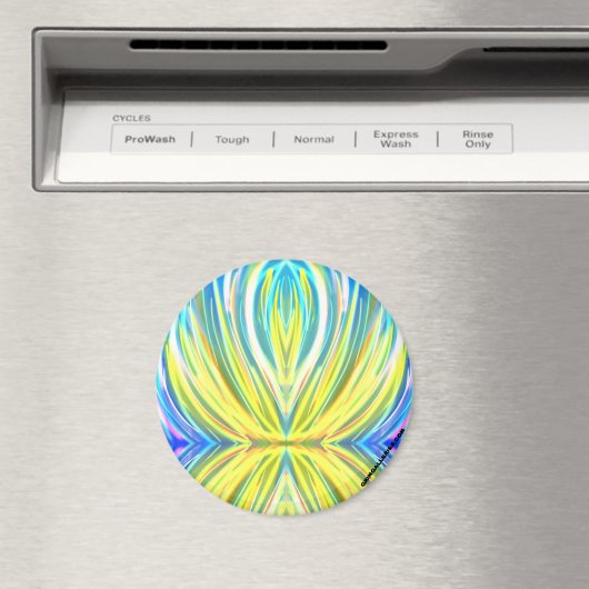 Ronde magneet (Insitu (Vaatwasser))