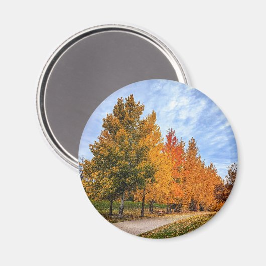 Ronde magneet (Voorkant / Achterkant)