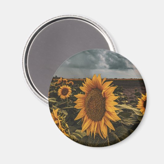 Ronde magneet (Voorkant / Achterkant)