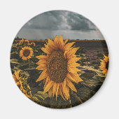 Ronde magneet (Voorkant)