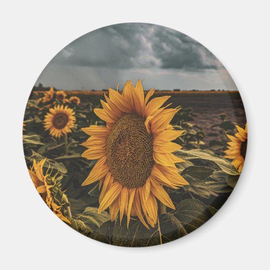 Ronde magneet (Voorkant)