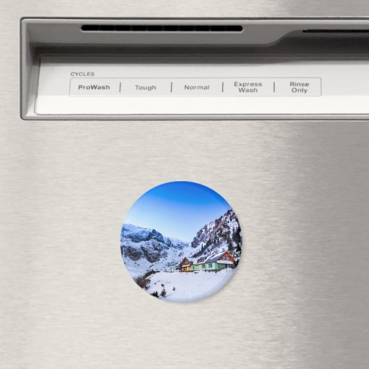 Ronde magneet Malaiesti (Insitu (Vaatwasser))