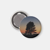 Ronde magneet met enkele boom silhouet zonsonderga (Voorkant / Achterkant)