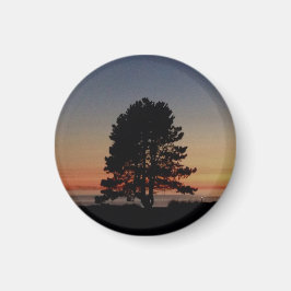 Ronde magneet met enkele boom silhouet zonsonderga