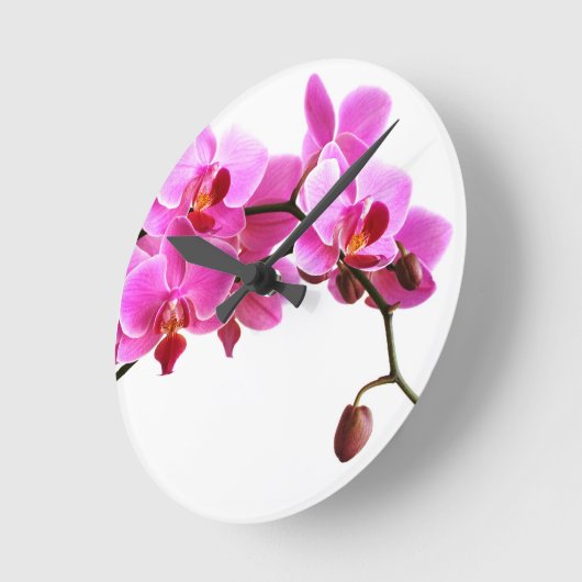 Ronde Orchidée Ronde Klok (Hoek)