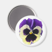 Ronde Paarse en gele Pansy Magnet (Voorkant / Achterkant)