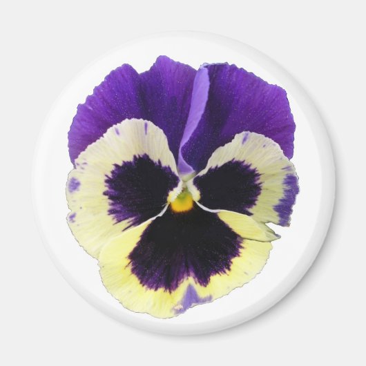 Ronde Paarse en gele Pansy Magnet (Voorkant)