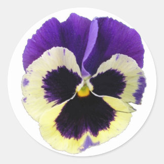 Ronde Paarse en gele Pansy Stickers