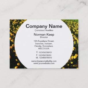 Ronde paneel - Krokussen Visitekaartje