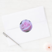 Ronde roze roos sticker (Envelop)