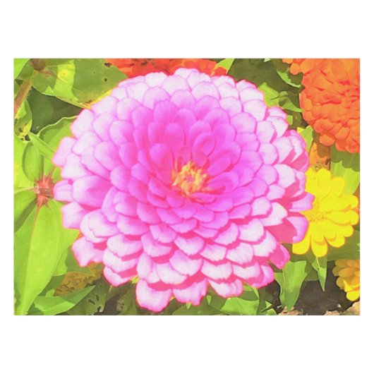 Ronde Roze Zinnia in de zomertuin Tafelkleed (Voorkant (Horizontaal))