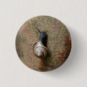 Ronde slak-knop ronde button 3,2 cm (Voorkant)