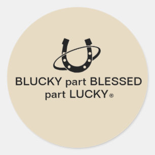 Ronde sticker, glanzend, groot 3 inch (6 inch per  sticker