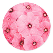 Ronde Sticker, glanzend, groot, HAPPY SEED WRAPPIN