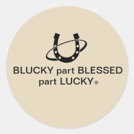 Ronde Sticker, Glanzend, Grote 3 duim (6per blad) Sticker