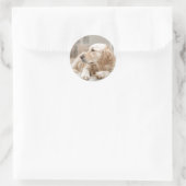 Ronde sticker met portret van Golden Retriever (Tas)