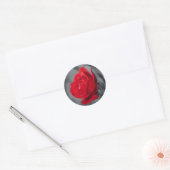 Ronde sticker met rode roos (Envelop)
