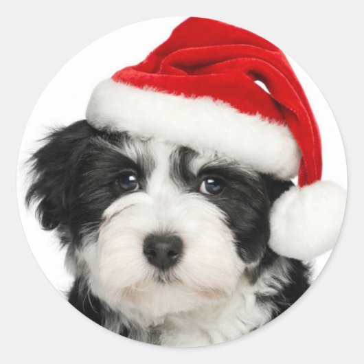 Ronde sticker Santa Puppy (Voorkant)