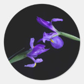 Ronde Sticker van Dual Iris-foto (Voorkant)