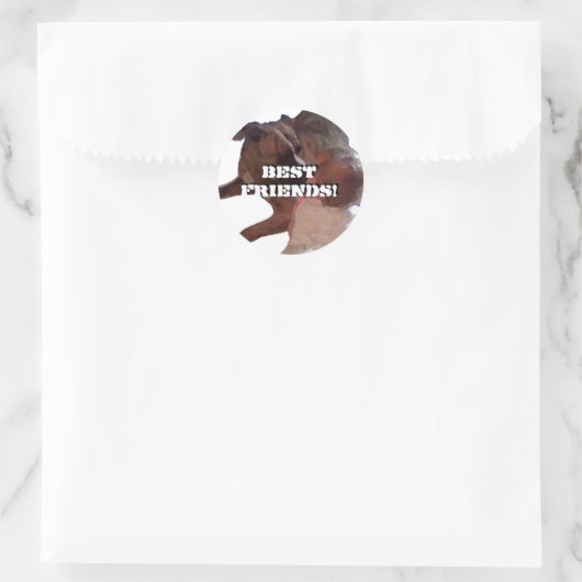 Ronde stickers (Tas)