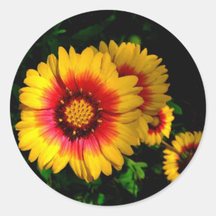 Ronde stickers, gouden madeliefjes sticker