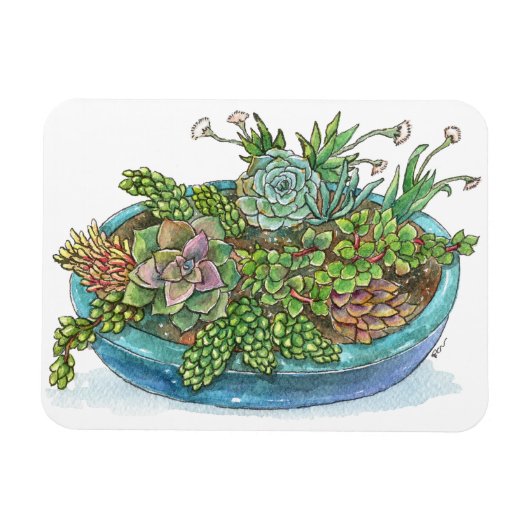 Ronde Succulente tuin Magneet (Horizontaal)
