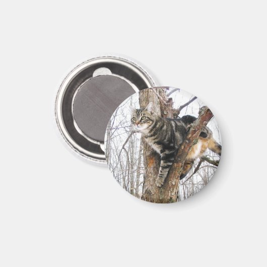 Ronde tablet Cat Magnet (Voorkant / Achterkant)