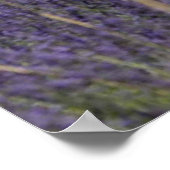 Ronde van Frankrijk Poster (Hoek)