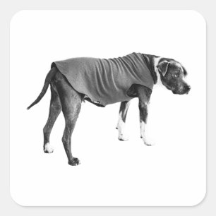 Ronde vest, vriendelijke draai vierkante sticker