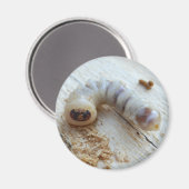 Ronde warmlopermagneet magneet (Voorkant / Achterkant)