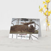 Rondhangen Kaart (Gele Bloem)