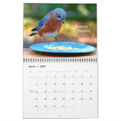 Rondkalender voor achtertuin kalender (Mar 2027)