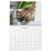 Rondkalender voor achtertuin kalender (Jan 2027)