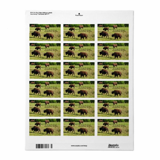 Rondtrekkend Bizon Adreslabel Etiket (Full Sheet)