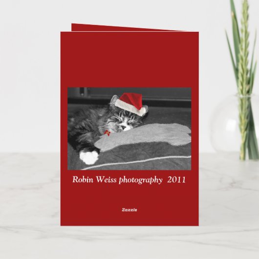 ronni jongen feestdagen kaart (Achterkant)