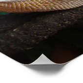 Ronnie 2 poster (Hoek)