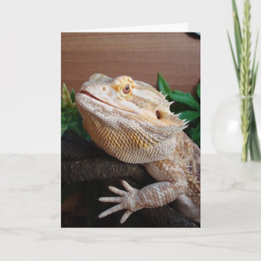 Ronnie Kaart (Voorkant)