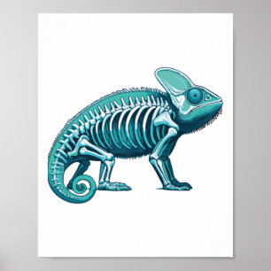 Röntgen kameleon Lichaamsanatomie Radiografie Skel Poster
